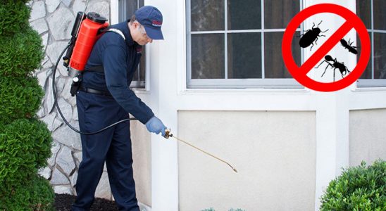 Ilgaz Karınca İlaçlama böcek ilaçlama ve haşere kontrolü — ilaclama-tr.com